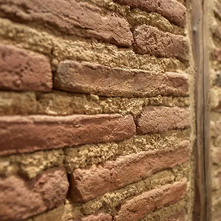 Lejlighed Alojeria *